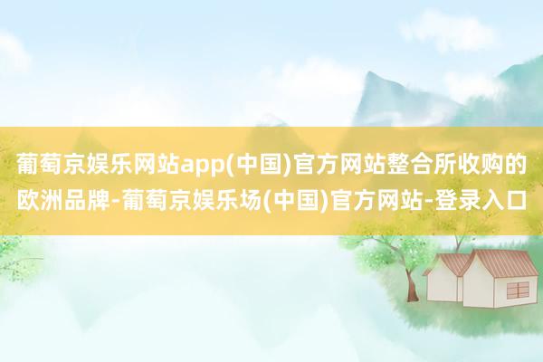 葡萄京娱乐网站app(中国)官方网站整合所收购的欧洲品牌-葡萄京娱乐场(中国)官方网站-登录入口