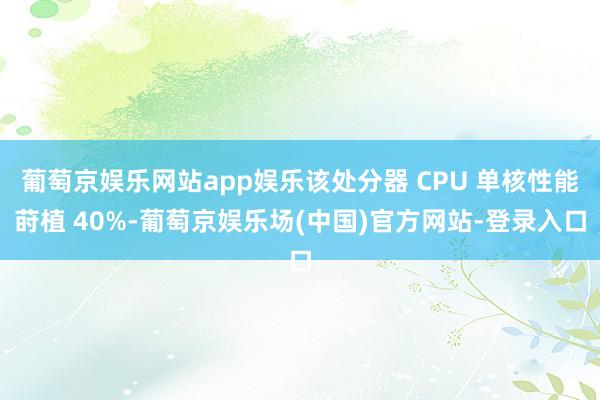 葡萄京娱乐网站app娱乐该处分器 CPU 单核性能莳植 40%-葡萄京娱乐场(中国)官方网站-登录入口