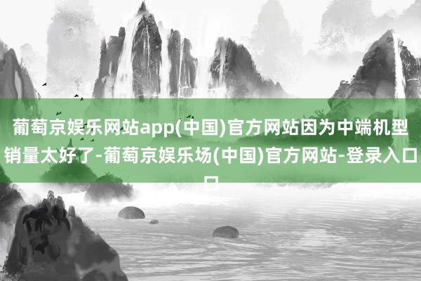 葡萄京娱乐网站app(中国)官方网站因为中端机型销量太好了-葡萄京娱乐场(中国)官方网站-登录入口