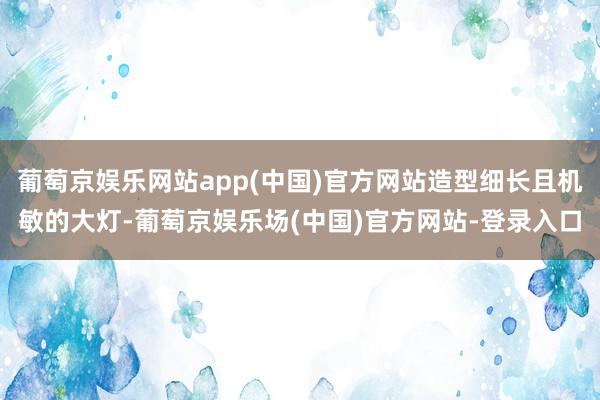 葡萄京娱乐网站app(中国)官方网站造型细长且机敏的大灯-葡萄京娱乐场(中国)官方网站-登录入口