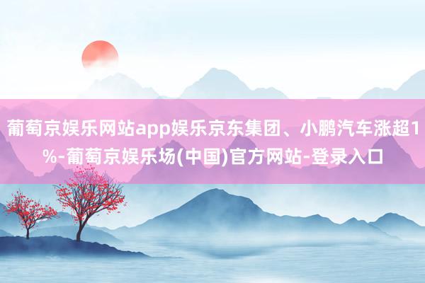 葡萄京娱乐网站app娱乐京东集团、小鹏汽车涨超1%-葡萄京娱乐场(中国)官方网站-登录入口