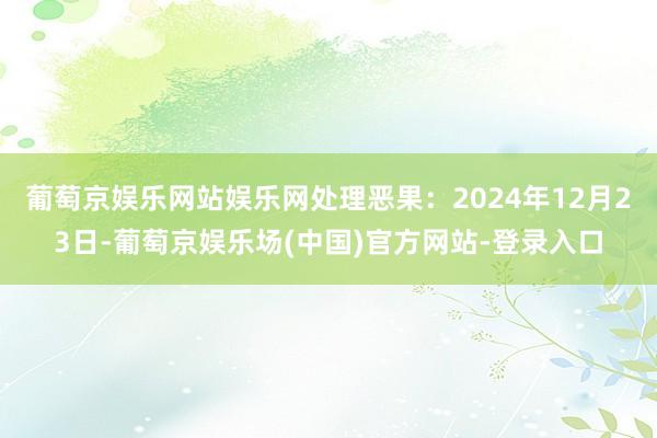 葡萄京娱乐网站娱乐网处理恶果：2024年12月23日-葡萄京娱乐场(中国)官方网站-登录入口