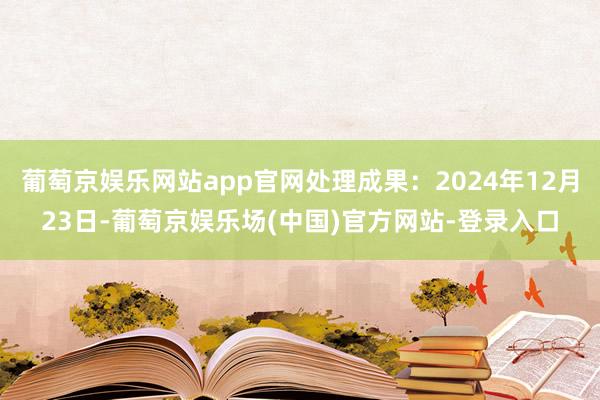 葡萄京娱乐网站app官网处理成果：2024年12月23日-葡萄京娱乐场(中国)官方网站-登录入口