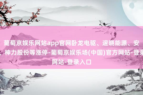 葡萄京娱乐网站app官网卧龙电驱、邃晓能源、安乃达、神力股份等涨停-葡萄京娱乐场(中国)官方网站-登录入口