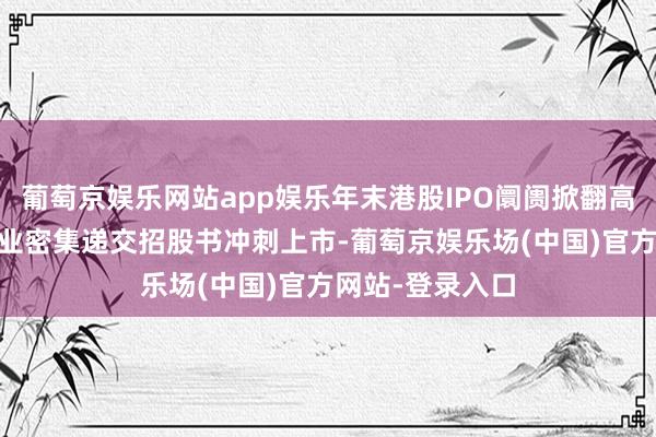 葡萄京娱乐网站app娱乐年末港股IPO阛阓掀翻高涨：近20家企业密集递交招股书冲刺上市-葡萄京娱乐场(中国)官方网站-登录入口